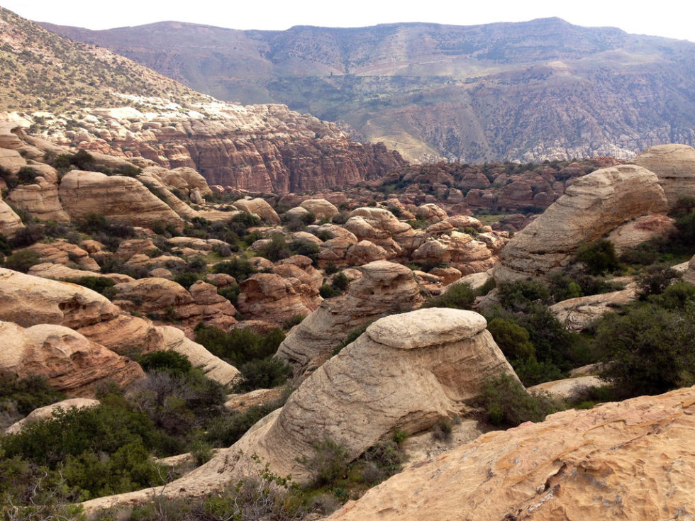 Dana Biosphere Reserve