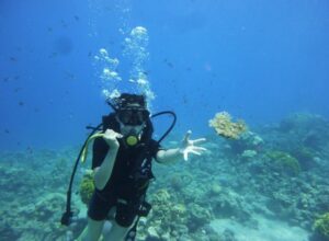 Diving -AQABA (RED SEA - Jordan Tours